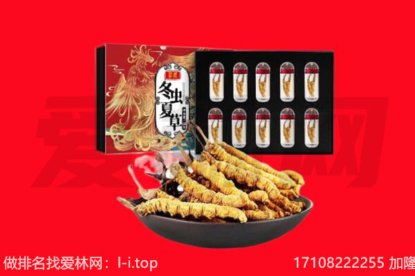海东市回收虫草.jpg